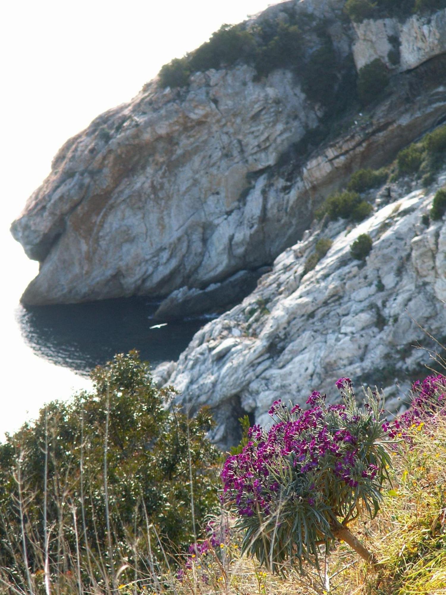 Hotel Santa Caterina Marina di Campo Luaran gambar